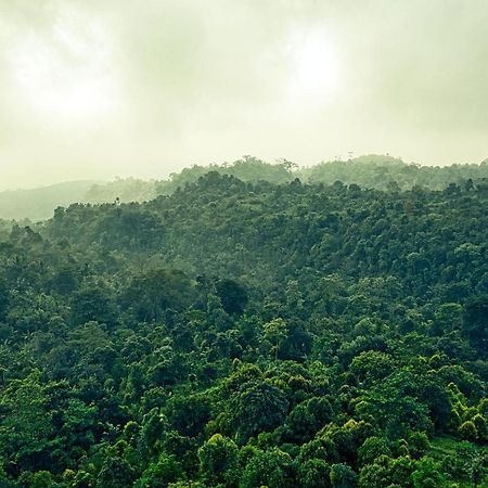 Ruhija Gorilla Guest House Kabale Dış mekan fotoğraf