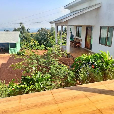 Ruhija Gorilla Guest House Kabale Dış mekan fotoğraf