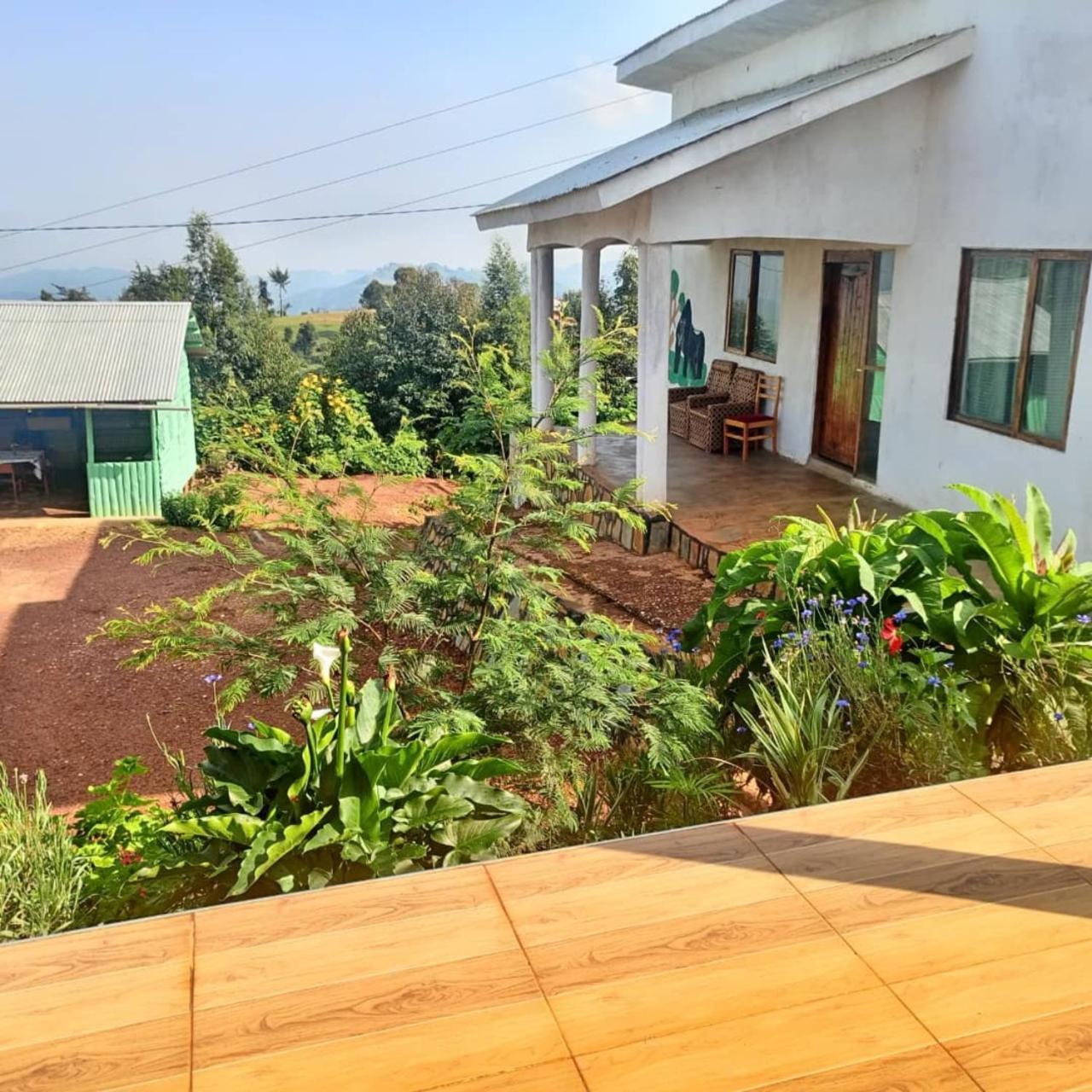 Ruhija Gorilla Guest House Kabale Dış mekan fotoğraf
